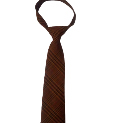 brown bedichecked neckie